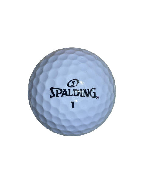 50-PACK FLORIDABOLLAR